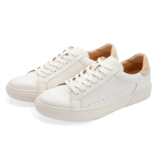 John White Hemworth 2 Trainer White
